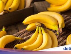 5 Makanan Ini Sebaiknya Tak Dimakan Bersamaan Didalam Pisang