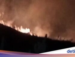 Bukit Anak Dara Ke Lombok Terbakar, Para Pendaki Kelimpungan