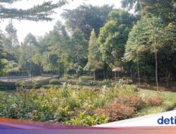 Rileks Ke Hutan Kota Ciganjur Ditemani Kicau Burung