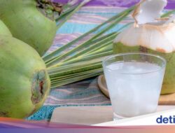 Apakah Boleh Minum Air Kelapa Setiap Hari? Ini Efek yang Berencana Terjadi