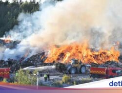 Ratu Sampah Diadili Swedia, Bikin Kejahatan Lingkungan Terbesar