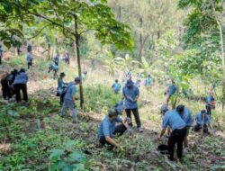 TRID-Perhutani Tanam 200 Pohon Bagi Masa Didepan Berkelanjutan