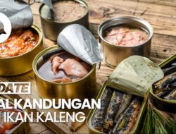 Video: Diusulkan Karena Itu Menu Makan Bergizi, Bagaimana Gizi Ikan Kaleng?