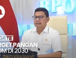 Video: Kepala BPOM Bicara Target Perlindungan Ketahanan Pangan Ke 2030