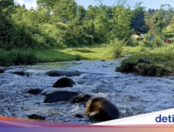 Gemericik Sungai Bersama Bumi Rancacangkuang Perkemahan Bandung, Hidden Gem!