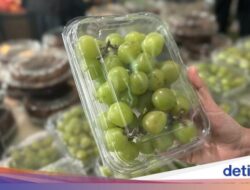 Beda Di Thailand, RI Tak Temukan Kandugan Berbahaya Ke Anggur Muscat Perdagangan Masuk Negeri