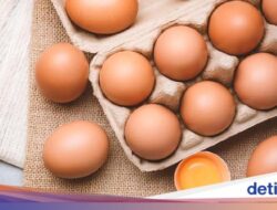 8 Hidangan yang Mengandung Vitamin B12, Nomor 8 Murah dan Mudah Ditemukan