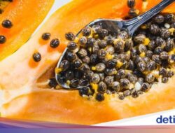 Biji Pepaya Ternyata Bisa Dimakan, Ini Manfaatnya Bagi Keadaan