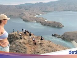 Terbangkan Drone Di TN Komodo Ditarik Rp 2 Juta, Asosiasi Pilot Keluhan Masyarakat!