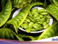 Benarkah Petai Bisa Bantu Turunkan Kadar Gula Darah? Praktisi Medis Herbal Bilang Gini