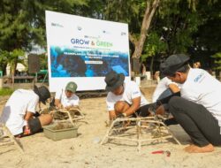BRI Menanam Grow & Green Transplantasi Terumbu Karang, Selamatkan Ekosistem Laut Ke NTB