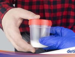 Terungkap! Puluhan Donor Sperma Hingga Belanda Karena Itu Ayah 25 Anak, Picu Risiko Inses