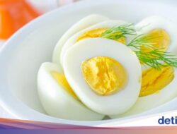 8 Manfaat Makan Telur Rebus Bagi Tubuh, Bantu Turunkan Berat Badan