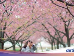 Momen Luna Maya Kulineran hingga Dilamar Ke Jepang