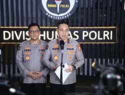 6 Pelaku Perkara Hukum Hukum Grup Fantasi Sedarah Ditangkap, Ini Perannya