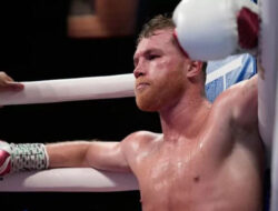 Asal-usul Julukan Canelo Hingga Untuk Nama Saul Alvarez, Ternyata Ini Maknanya