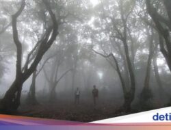 Kisah Para Pendaki yang Tersesat Ke Gunung-gunung Jawa Barat