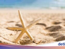 Horor Banget! Turis Inggris Tertimbun Hingga Lubang 3 Meter yang Ia Gali Sendiri