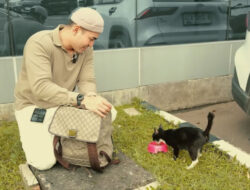 Robby Purba Lakukan Street Feeding sebagai Bentuk Kasih Sayang Sebagai Kucing Jalanan