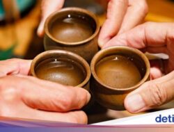 Nyobain Sake Di Liburan Di Jepang, Ini Tipsnya