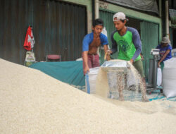 Stok Ketahanan Pangan Dijamin Aman Sampai Akhir Tahun, Beras Catat Pencapaian 10,23 Juta Ton