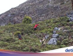 Pencarian Pendaki Hilang Ke Gunung Binaiya Disetop, Pendakian Ditutup Sambil Itu