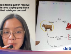 Kenapa Ya Daging Kurban Rasanya Beda Bersama Daging Biasa?