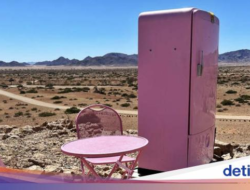 Kulkas Pink ‘Barbie’ Bagai Oase Hingga Ditengah Gurun Afrika, Apa Isinya?