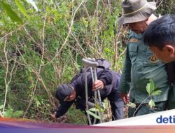 Mati Terjerat Kawat Ke Garut