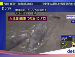 Gempa M 8,7 Guncang Rusia, Paus-paus Terdampar Di Jepang