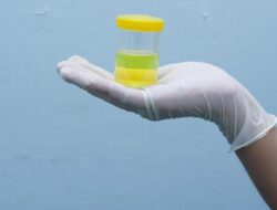 Praktisi Medis Ungkap Beda Busa Hingga Urine yang Normal Vs Tanda Ginjal Bermasalah