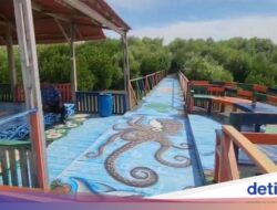 Menelusuri Jalur Mural Ke Hutan Mangrove Muara Mundu