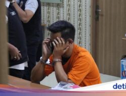 Pelaku Pelecehan Ke Pesawat Ternyata Lulusan Kedokteran Hewan, Apa Motifnya?