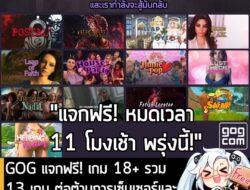 [News] GOG แจกฟรี! เกม 18+ รวม 13 เกม เพื่อต่อต้านการเซ็นเซอร์ และยืนหยัดในเสรีภาพของวิดีโอเกม . โค้งสุดท้ายสำหรับ Freed…