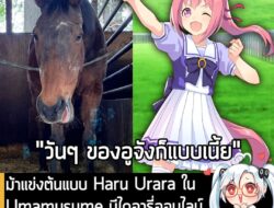 [News] ม้าแข่งต้นแบบ Haru Urara ใน Umamusume มีไดอารี่ออนไลน์ เผยชีวิตส่วนตัวสุดน่ารักในฟาร์มแล้ว . แม้ว่าการอ่านอัปเดตเ…