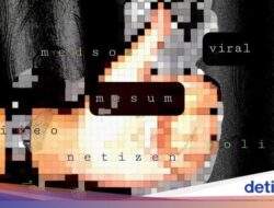 Pasangan Bule Berbuat Mesum Ke Kendaraan Angkutan Umum, Ngaku Cuma Main-main