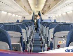 Hii, Ada Kecoa Perjalanan Kaki Hingga Pesawat Air India, Maskapai Minta Maaf