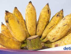 Pisang, Buah Sejuta Umat yang Ternyata Minuman Nasional Asli Indonesia