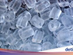 Fakta Unik Es Batu Di Restoran, Kenapa Selalu Ada Lubangnya?