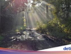 Mitos Asap Hingga Gunung Kareumbi, Dari Sebab Itu Pertanda Hujan Berencana Datang