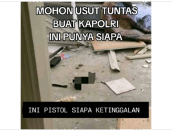 Apa Itu ‘Black Mamba’? Viral Dikaitkan Di Penjarahan Tempattinggal Ahmad Sahroni