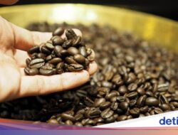Mau Biji Minuman Kafein Tetap Segar? Bekukan Di Freezer Bersama Cara Ini