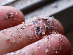 Ngeri! Bukan Cuma Hingga Air Hujan, Mikroplastik Juga ‘Bersarang’ Hingga Otak Manusia