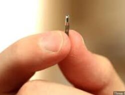 Penduduk Swedia Dipasangi Microchip Di Di Tubuh Untuk Biohacker