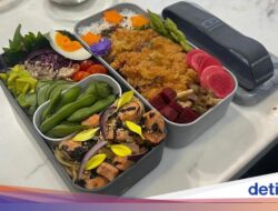 Wajan Serbaguna dan Kardus Bekal ala Prancis yang Praktis Kini Karena Itu Pilihan