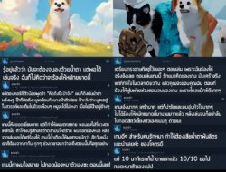 รีวิวเกมคือ น้ำตาแตกกันถ้วนหน้า  . My Little Puppy วางจำหน่ายแล้วบน Steam พร้อมรองรับซับไตเติลภาษาไทย โดยเปิดตัวลด 20% เ…
