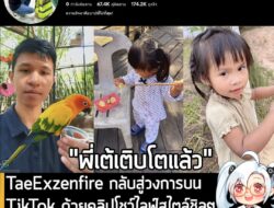 [News] TaeExzenfire กลับสู่วงการบน TikTok ด้วยคลิปโชว์ไลฟ์สไตล์ชิลๆแนะนำการใช้ชีวิตและเลี้ยงลูกสาว . หลายคนอาจจะคุ้นชื่อ…