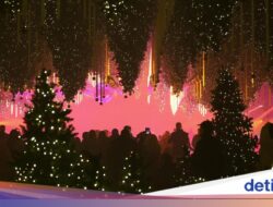 Ketika Cahaya Menari, ‘Forest Winter Light’ Hadirkan Nuansa Natal Modern