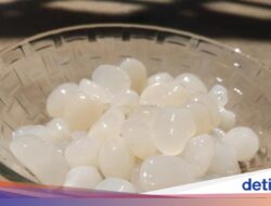 Acar Kolang Kaling Dibuat Bersama Proses Fermentasi, Apakah Halal?