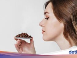 Pernah Lihat Biji Minuman Kafein Hingga Toko Aroma? Ternyata Ini Fungsinya